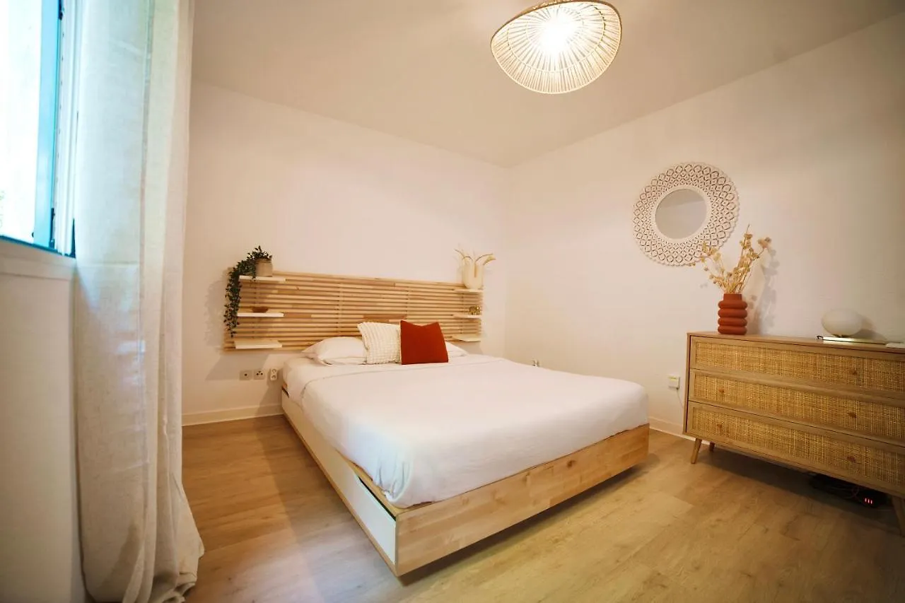 Appartement Appartemment T2 Cosy Et Spacieux : L'Oasis Urbaine Les Abymes Guadeloupe